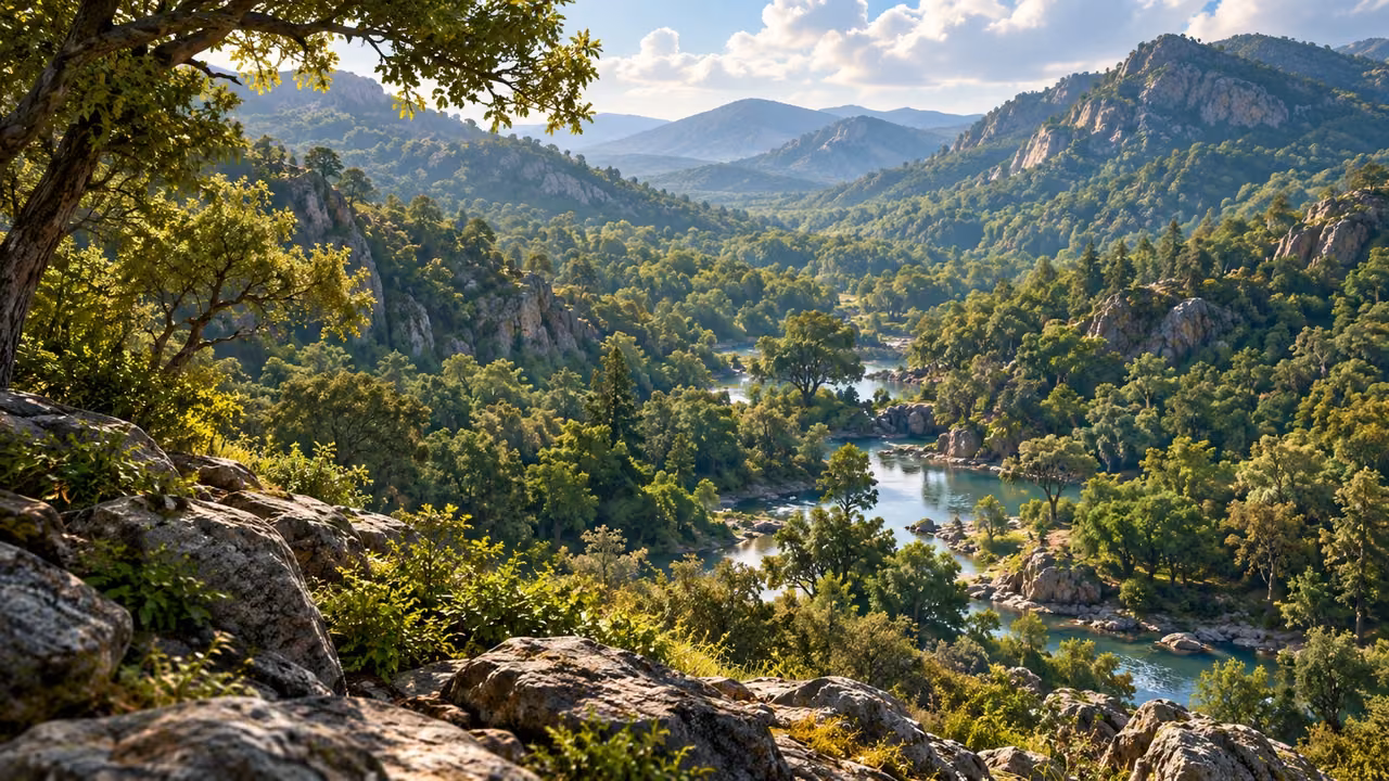 Ordinary unnamed trees fill a mountain basin,with water visible among the wooded slopes.