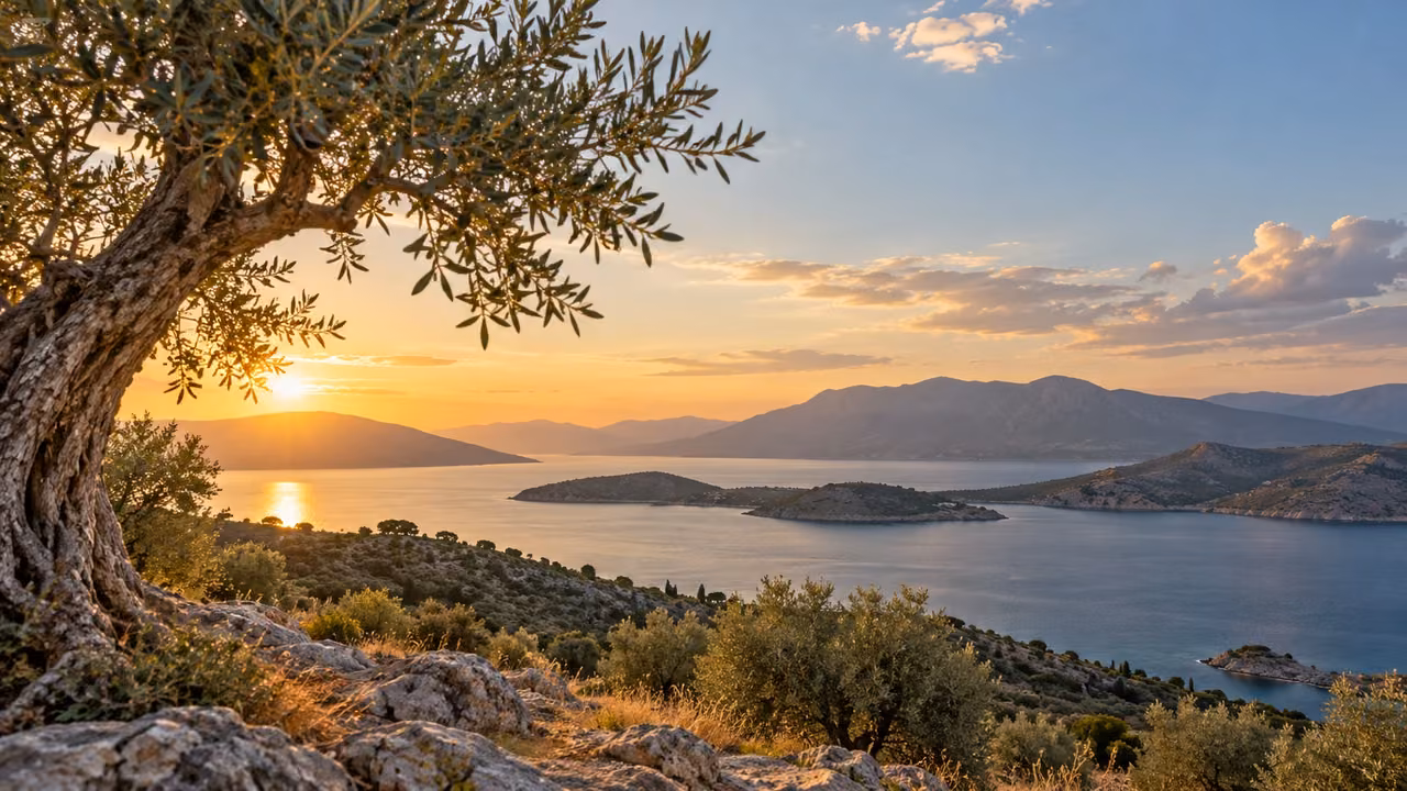 Illustrative teaching essay: natural earth, water, olive branches and open sky suggest the ordered world without depicting the Creator.