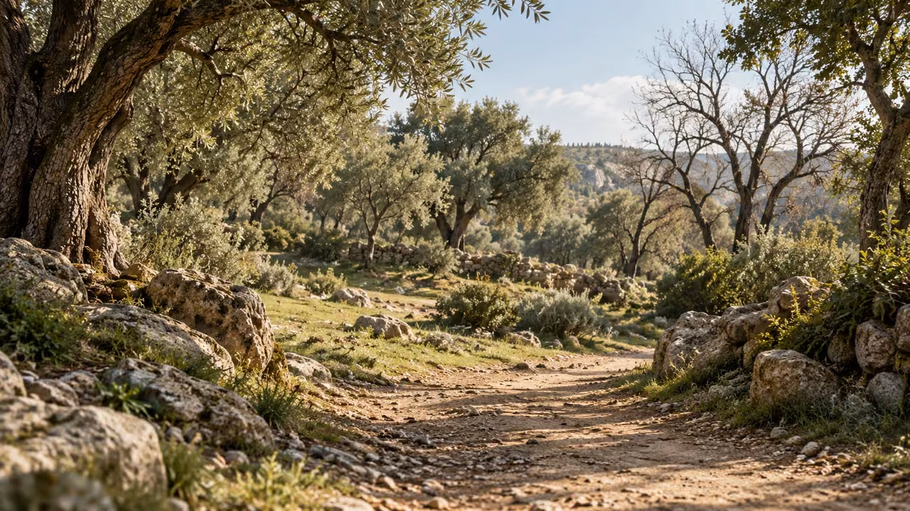 A grove with leafy and bare trees introduces another parable.